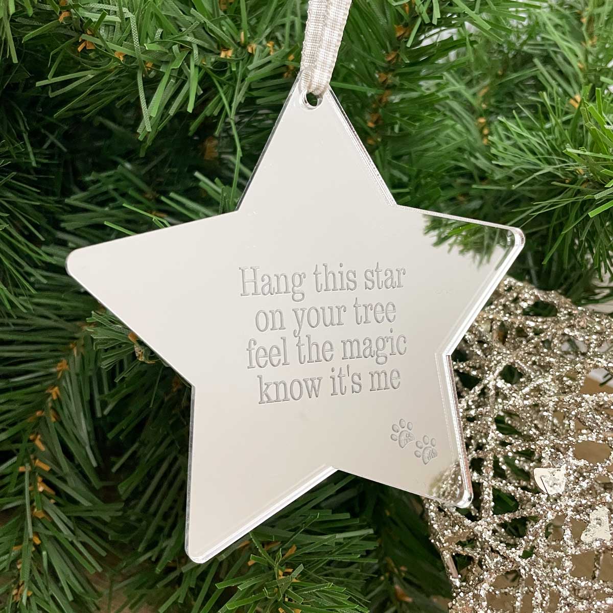 Oh So Precious Pet Memorial Mirrored Star Christmas Decoration