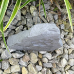 Oh So Precious Pet Memorial Stone or Grave Marker