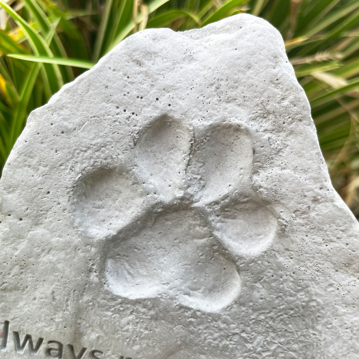 Oh So Precious Pet Memorial Stone or Grave Marker