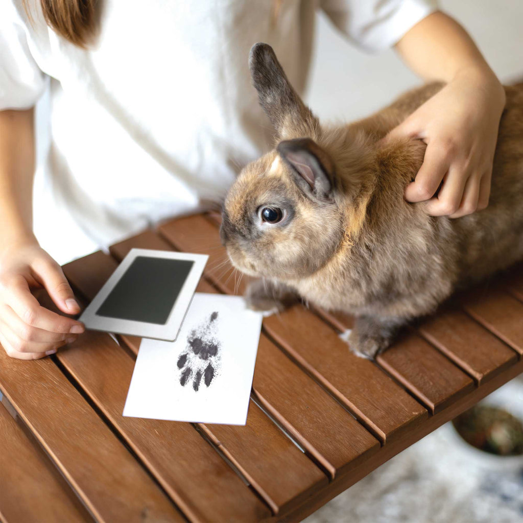 Oh So Precious Paw Print Non-toxic Paw Print Ink Pad Kit For Small Mammals