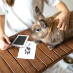 Oh So Precious Paw Print Non-toxic Paw Print Ink Pad Kit For Small Mammals