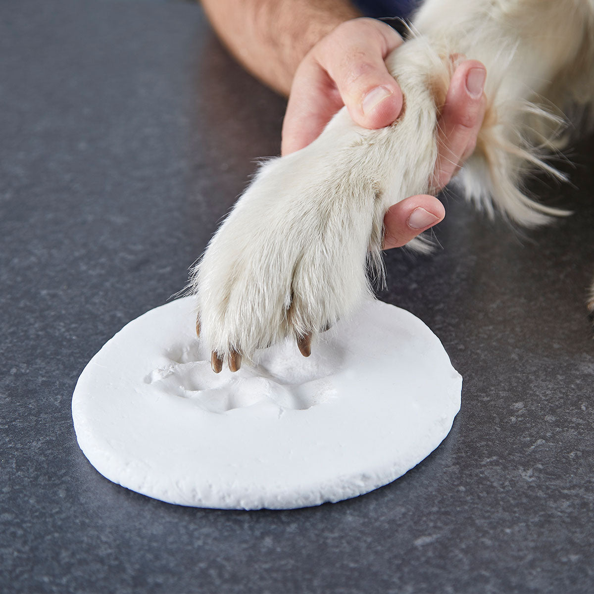 Oh So Precious Pet Paw Print Clay Impression Tin