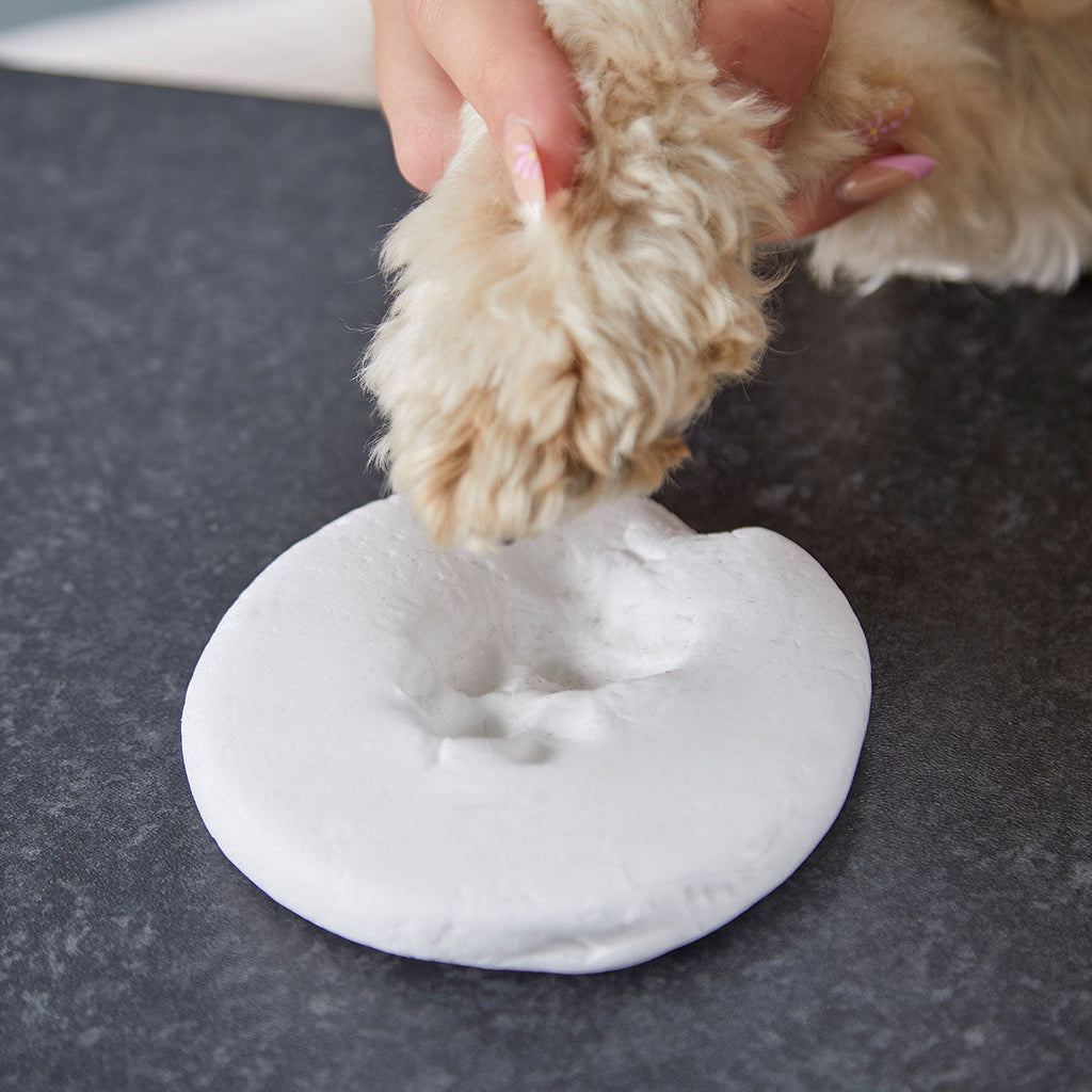 Oh So Precious Clay Pet Paw Impression Moulding Kit