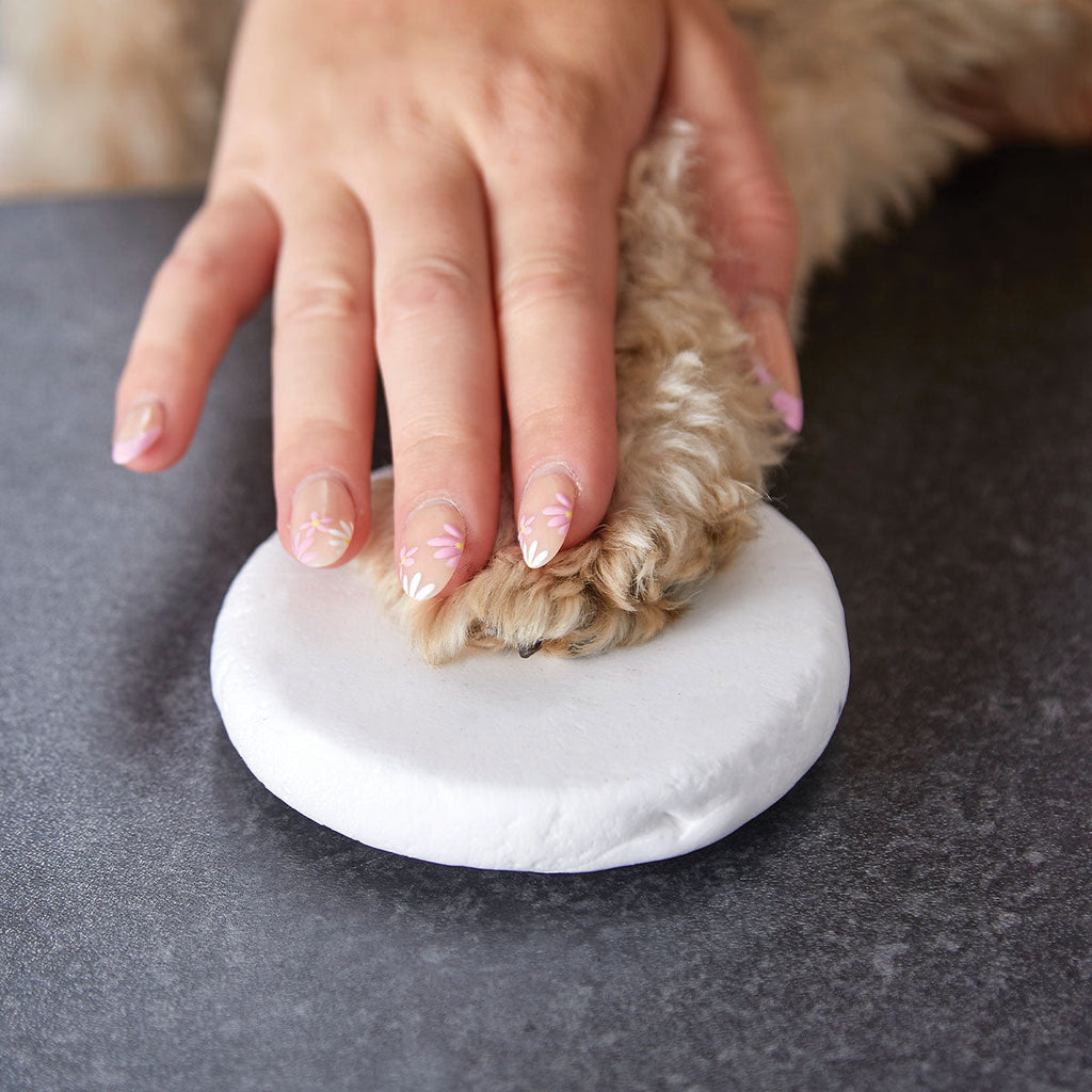 Oh So Precious Clay Pet Paw Impression Moulding Kit