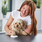 Oh So Precious Clay Pet Paw Impression Moulding Kit