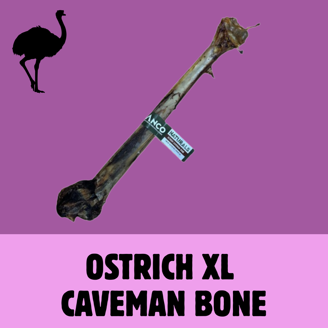 Build a Box | Custom Natural Dog Treat Bundle