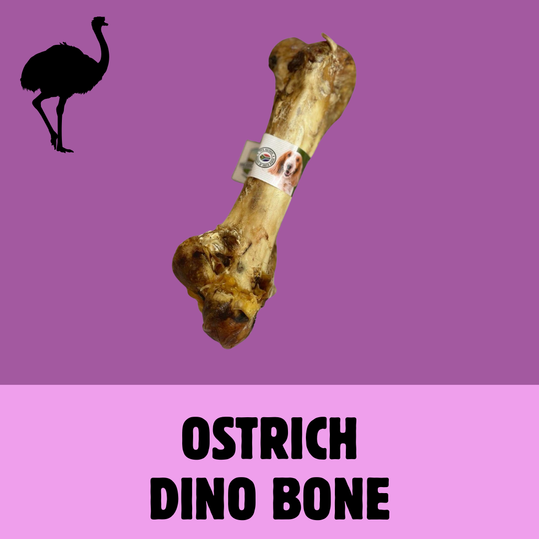 Build a Box | Custom Natural Dog Treat Bundle