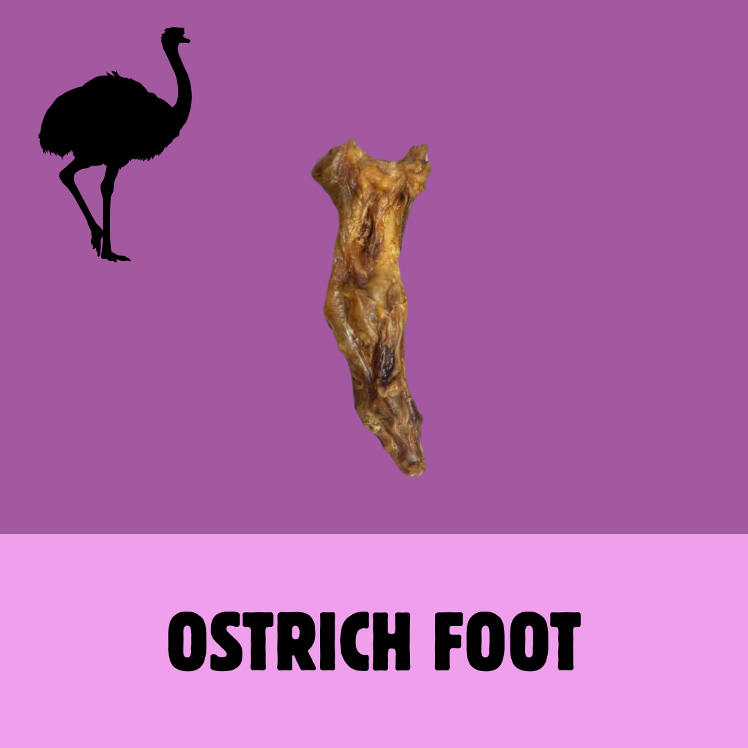 Build a Box | Custom Natural Dog Treat Bundle