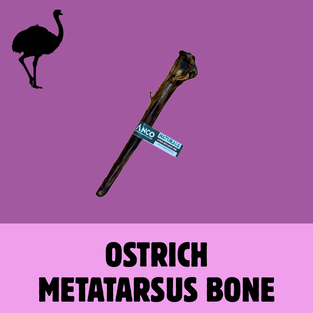 Build a Box | Custom Natural Dog Treat Bundle