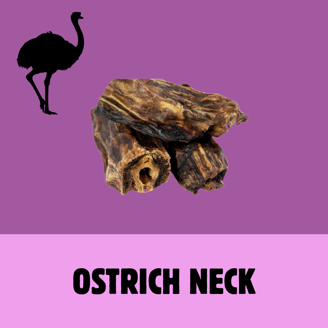 Build a Box | Custom Natural Dog Treat Bundle