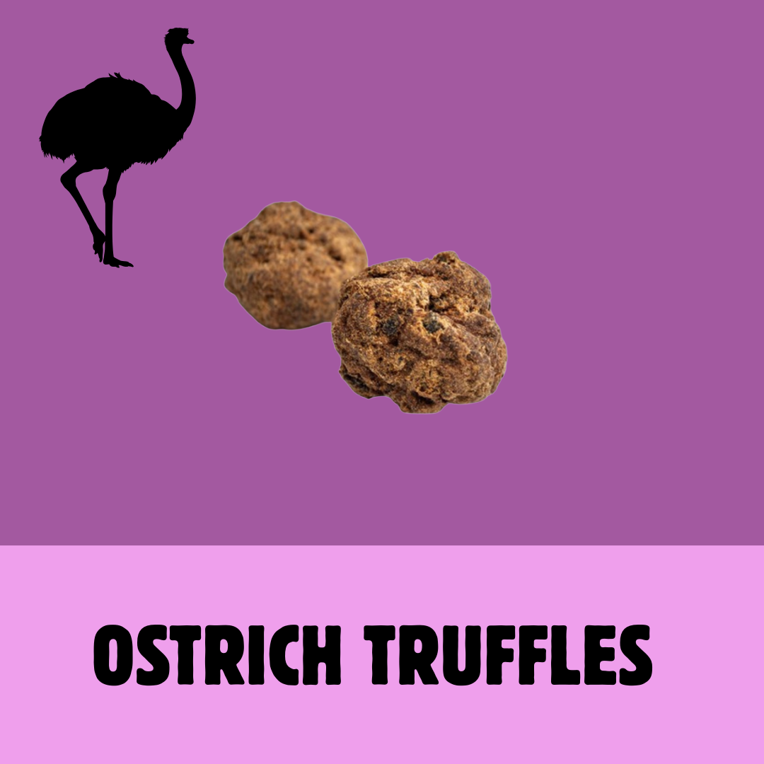 Build a Box | Custom Natural Dog Treat Bundle