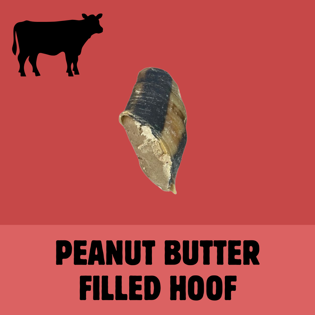 Build a Box | Custom Natural Dog Treat Bundle