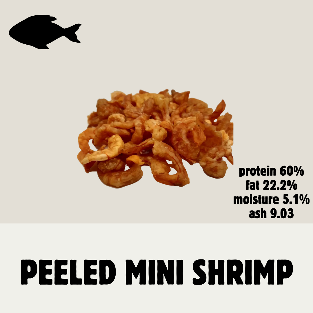 Build Your Own Fish Box | Natural Dog Treats