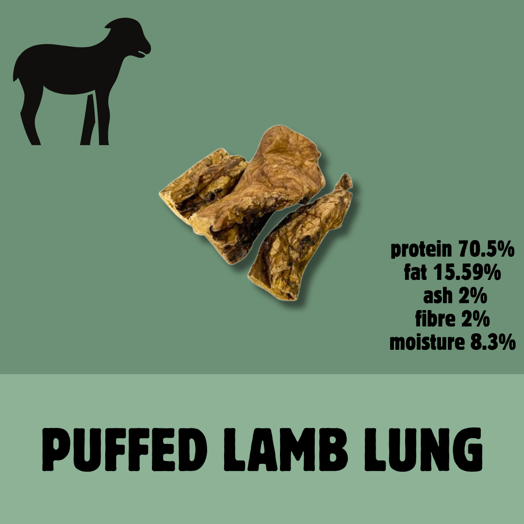 Build a Box | Custom Natural Dog Treat Bundle