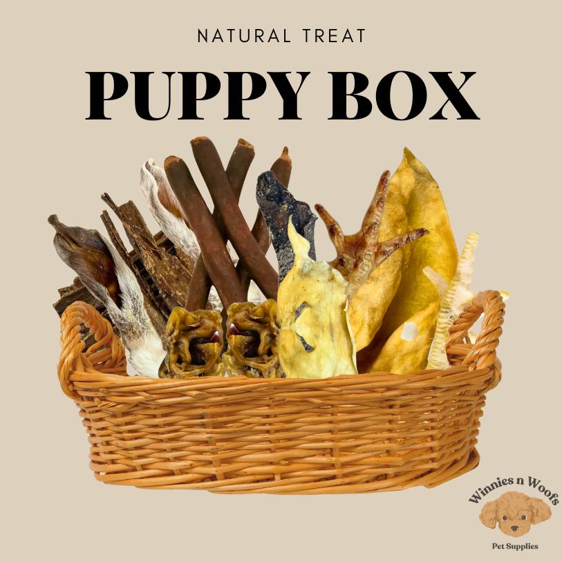 PUPPY BOX 20 Piece Natural Treat Variety Box 12 weeks +