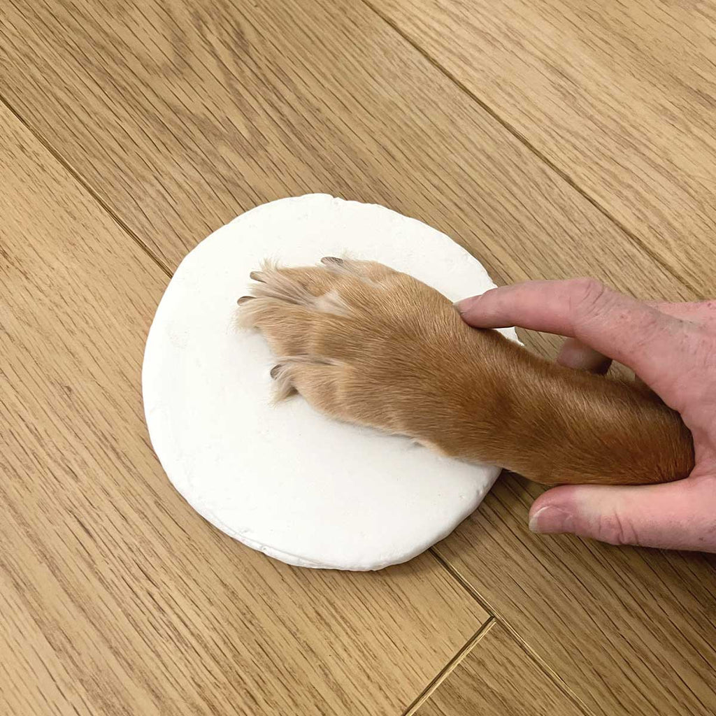 Oh So Precious Clay Pet Paw Impression Moulding Kit