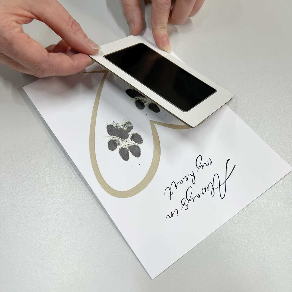 Oh So Precious Framed Pet Paw Print Keepsake With Ink Kit