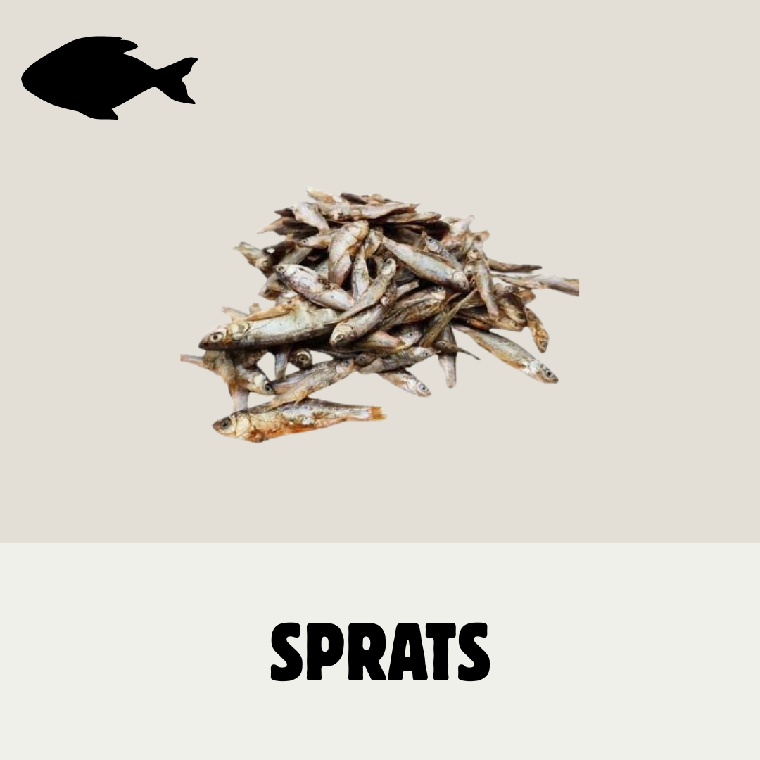 Build Your Own Fish Box | Natural Dog Treats