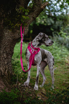 Twiggy Tags Multi-Way Leads