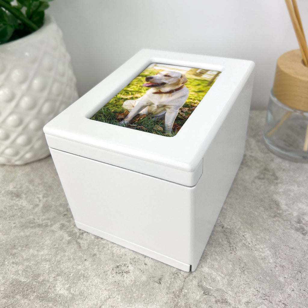 Rainbow Bridge Photo Urn 0.51