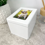 Rainbow Bridge Photo Urn 0.51