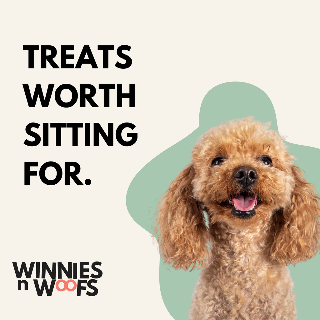 Doggie Box Monthly Subscription Box 30 Treats