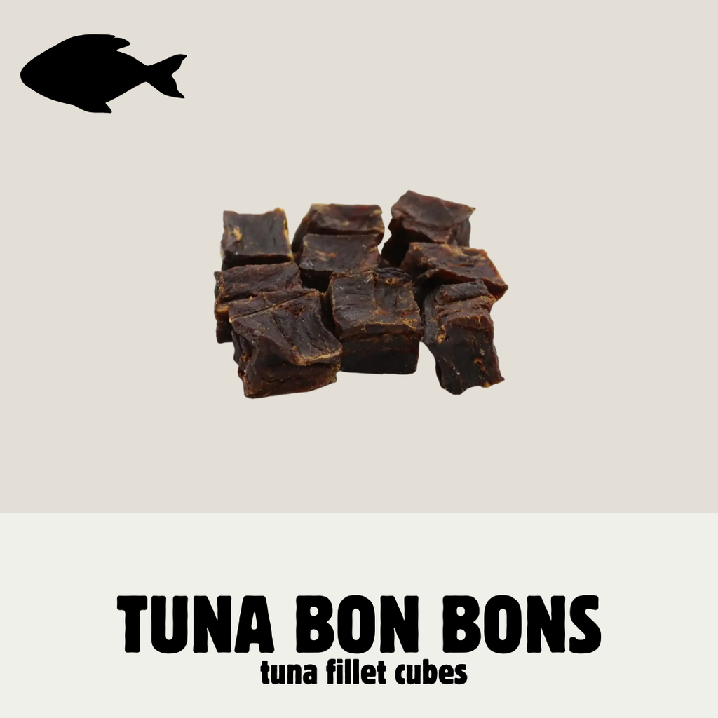 Build Your Own Fish Box | Natural Dog Treats