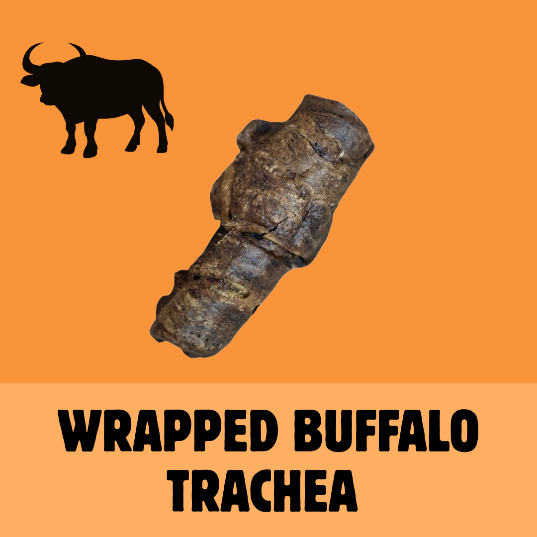 Build a Box | Custom Natural Dog Treat Bundle