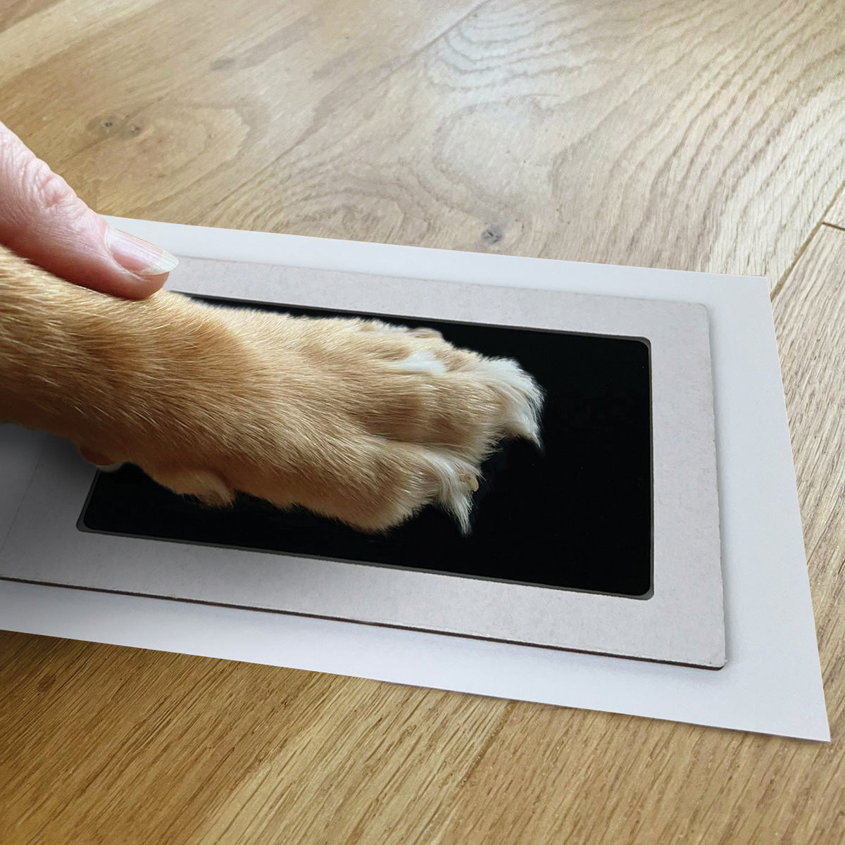 Oh So Precious Pet Safe Non-toxic Paw Print Ink Pad Kit