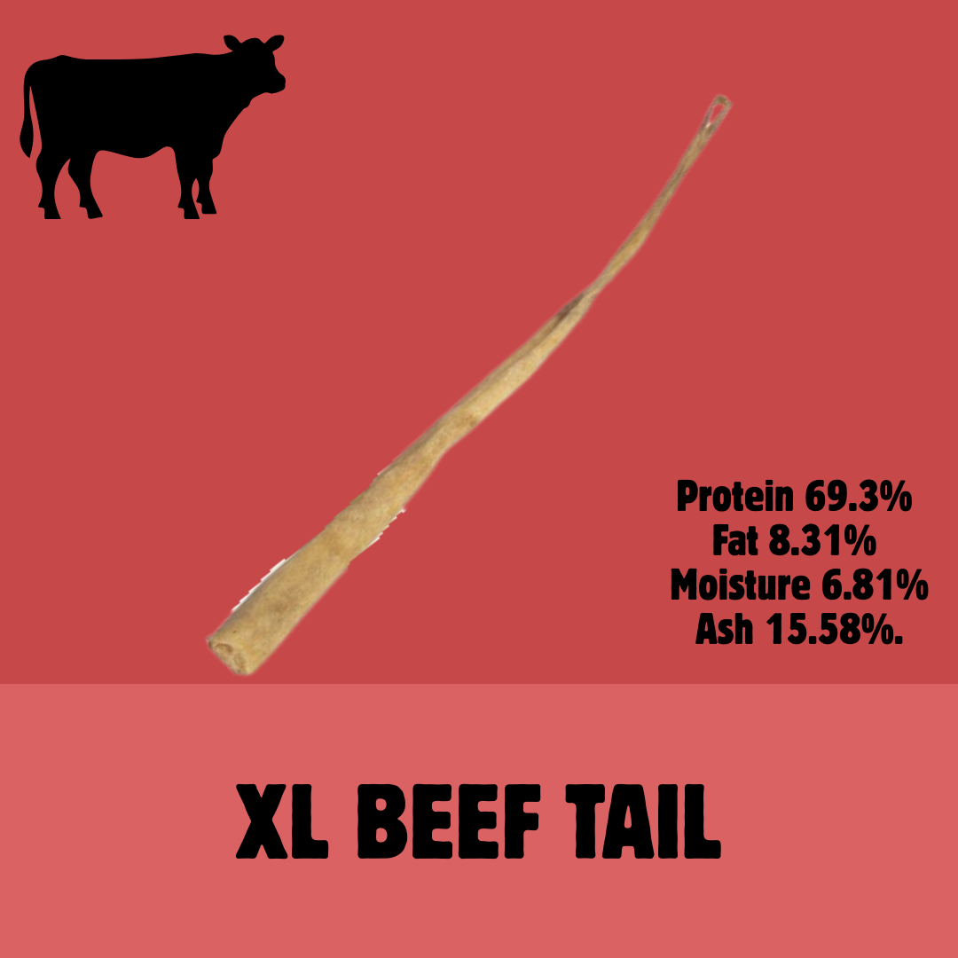 Build a Box | Custom Natural Dog Treat Bundle