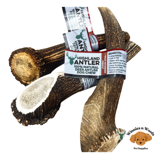 Highland Antler Natural Deer Antler Dog Chew