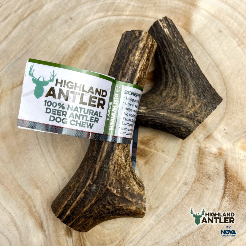 Highland Antler Natural Deer Antler Dog Chew