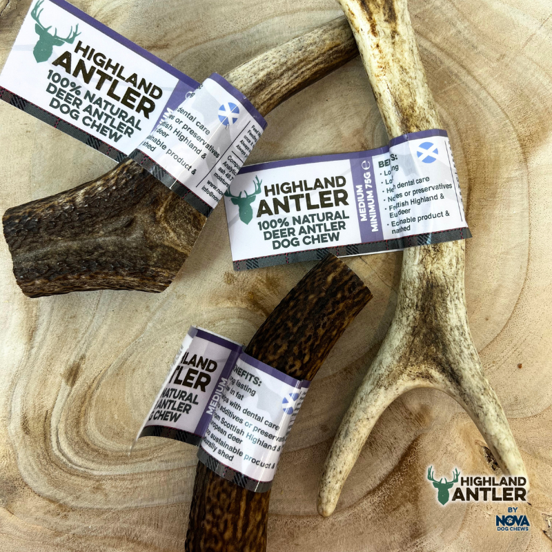 Highland Antler Natural Deer Antler Dog Chew