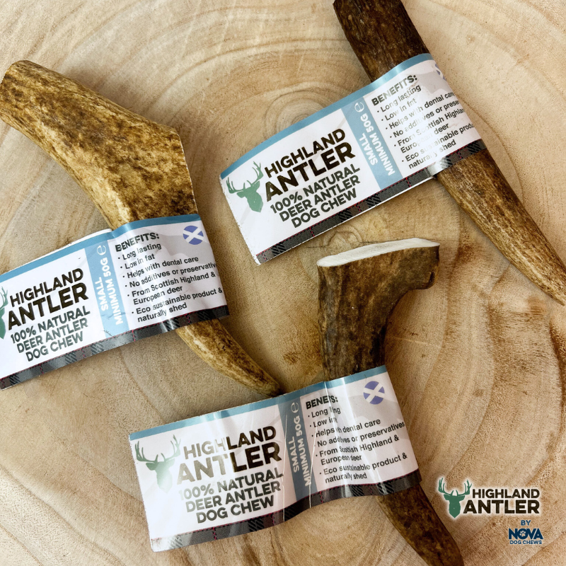 Highland Antler Natural Deer Antler Dog Chew