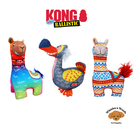 KONG Ballistic Vibez Range Durable Dog Toys