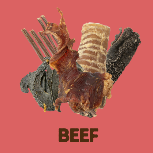 Pick a Protein | 500g Natural Dog Treat Bundle