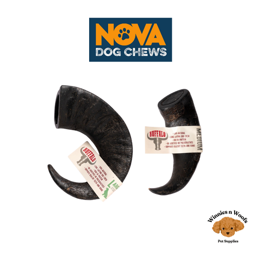Nova Buffalo Horn Long Lasting Dog Chew