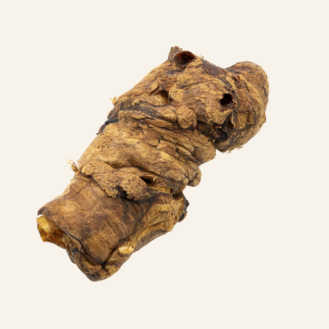 Buffalo Trachea Wrapped in Lung