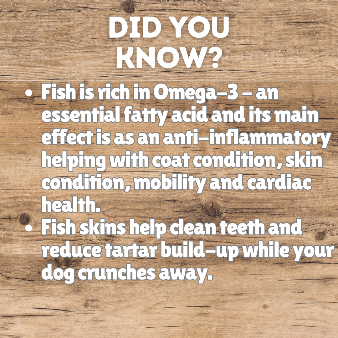 Build Your Own Fish Box | Natural Dog Treats