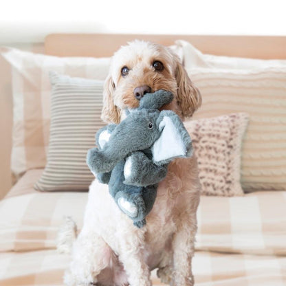 KONG Comfort Plush Range - Dog Toy Collection