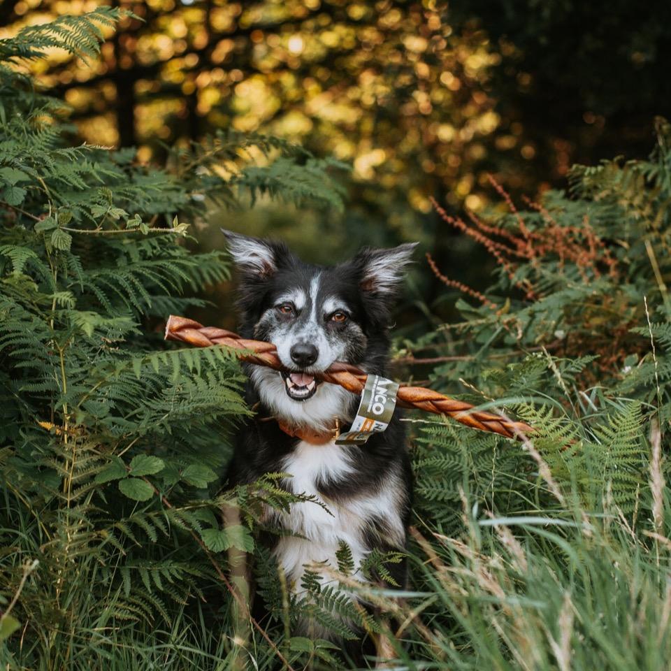 Build a Box - Natural Dog Treats - Build Your Own Bundle