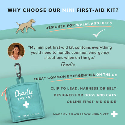 Charlie the Vet Mini Pet First Aid Kit