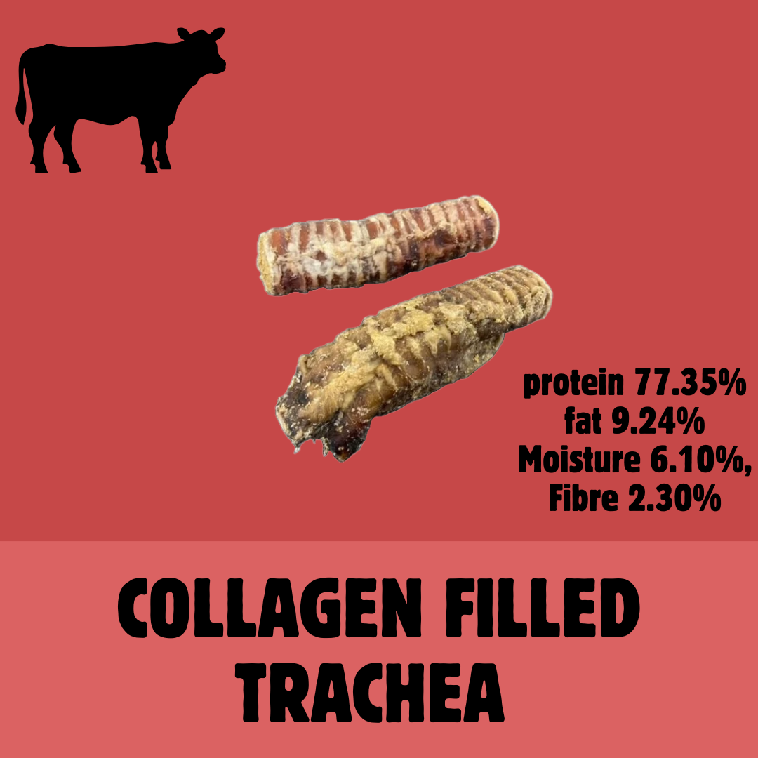 Build a Box | Custom Natural Dog Treat Bundle