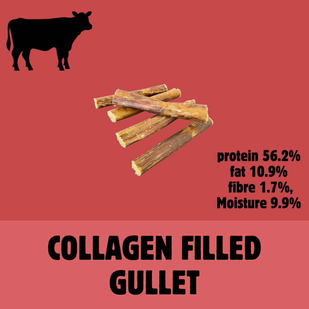 Build a Box | Custom Natural Dog Treat Bundle