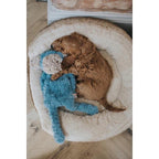 Rosewood - Crinkle and Squeak, No Stuffing - Dog Toy and Comforter