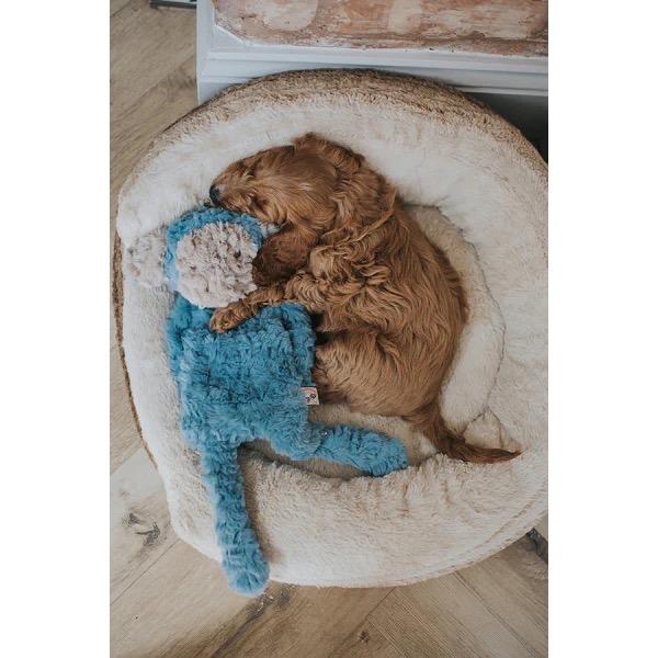 Rosewood - Crinkle and Squeak, No Stuffing - Dog Toy and Comforter