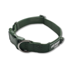 Twiggy Tags Tidal Waterproof Collar Fern
