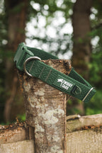 Twiggy Tags Tidal Waterproof Collar Fern