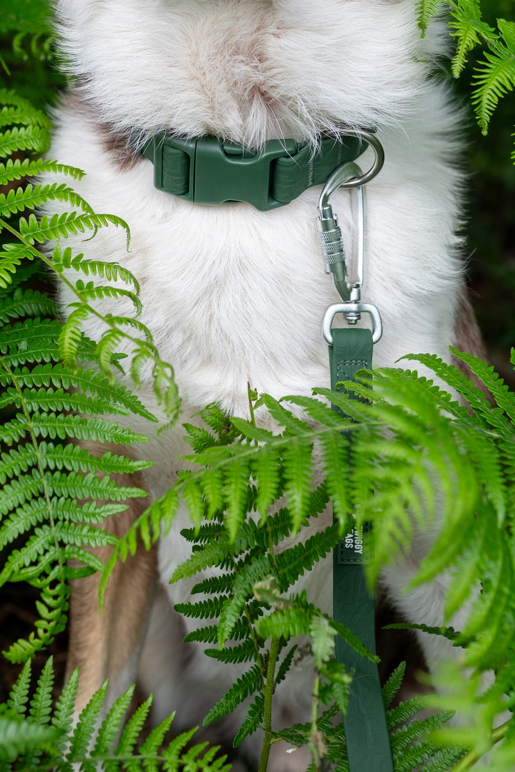 Twiggy Tags Tidal Waterproof Collar Fern
