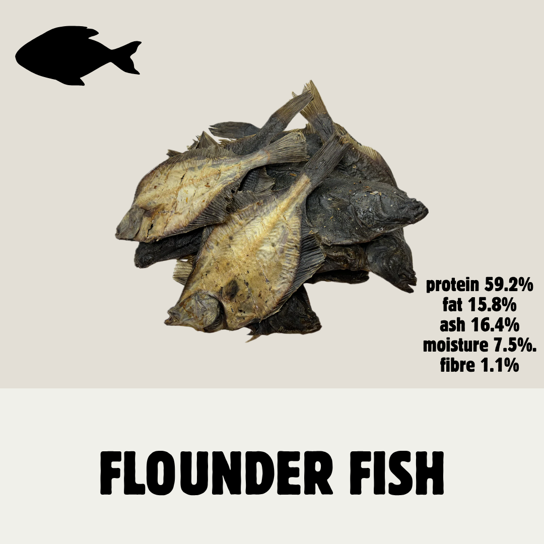 Build Your Own Fish Box | Natural Dog Treats